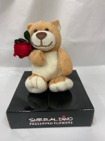 Bear Holding Preserved Mini Red Rose
