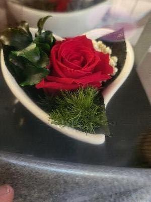Preserved Red Rose in Small Heart Dish