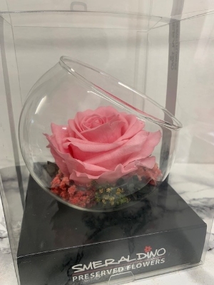 Preserved Pale Pink Rose in Glass