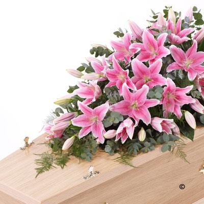 Lily Casket Spray   Pink *