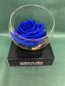 Preserved Individual Blue Rose in a Glass Bowl