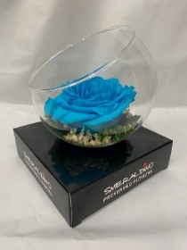 Preserved Turquoise Rose in a Glass Bowl