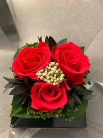 Preserved 3 Mini Red Rose Gift