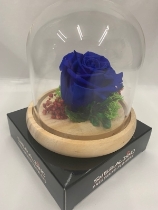 Preserved BLUE rose in a Glass Dome