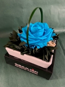 Preserved Turquoise Rose in a Shallow Ceramic Dish